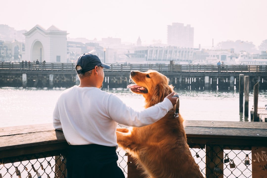 AI-Driven Loyalty Programs: Personal Rewards Based on Behavior