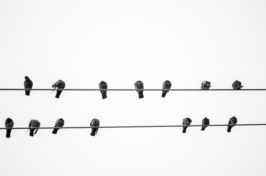 How to Build a LinkedIn Profile That Attracts Recruiters