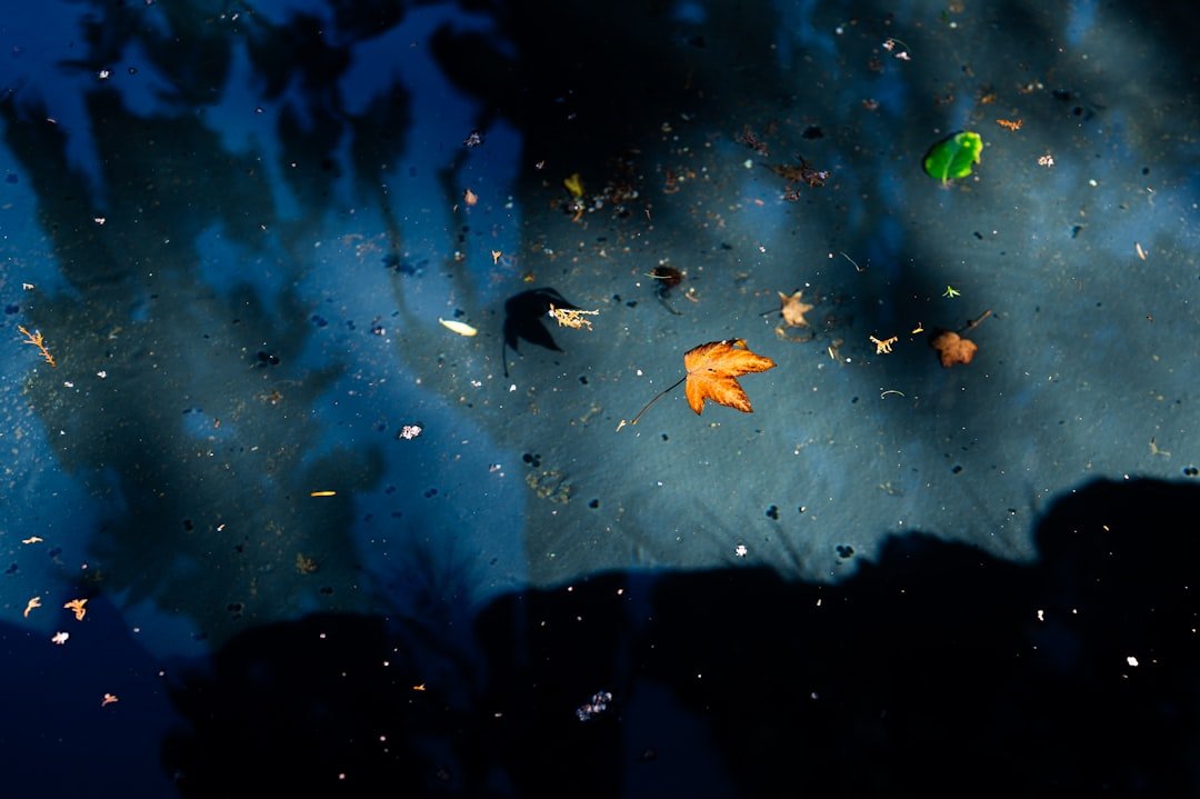 Lokah Chapter 1: Chandra Ending Explained: Unpacking That Final Twist and Post-Credits Scene